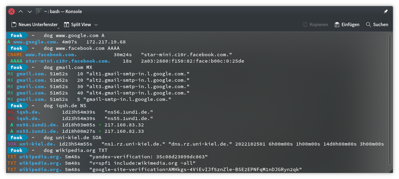 Verschiedene DNS-Abfragen mit dem Werkzeug dog
